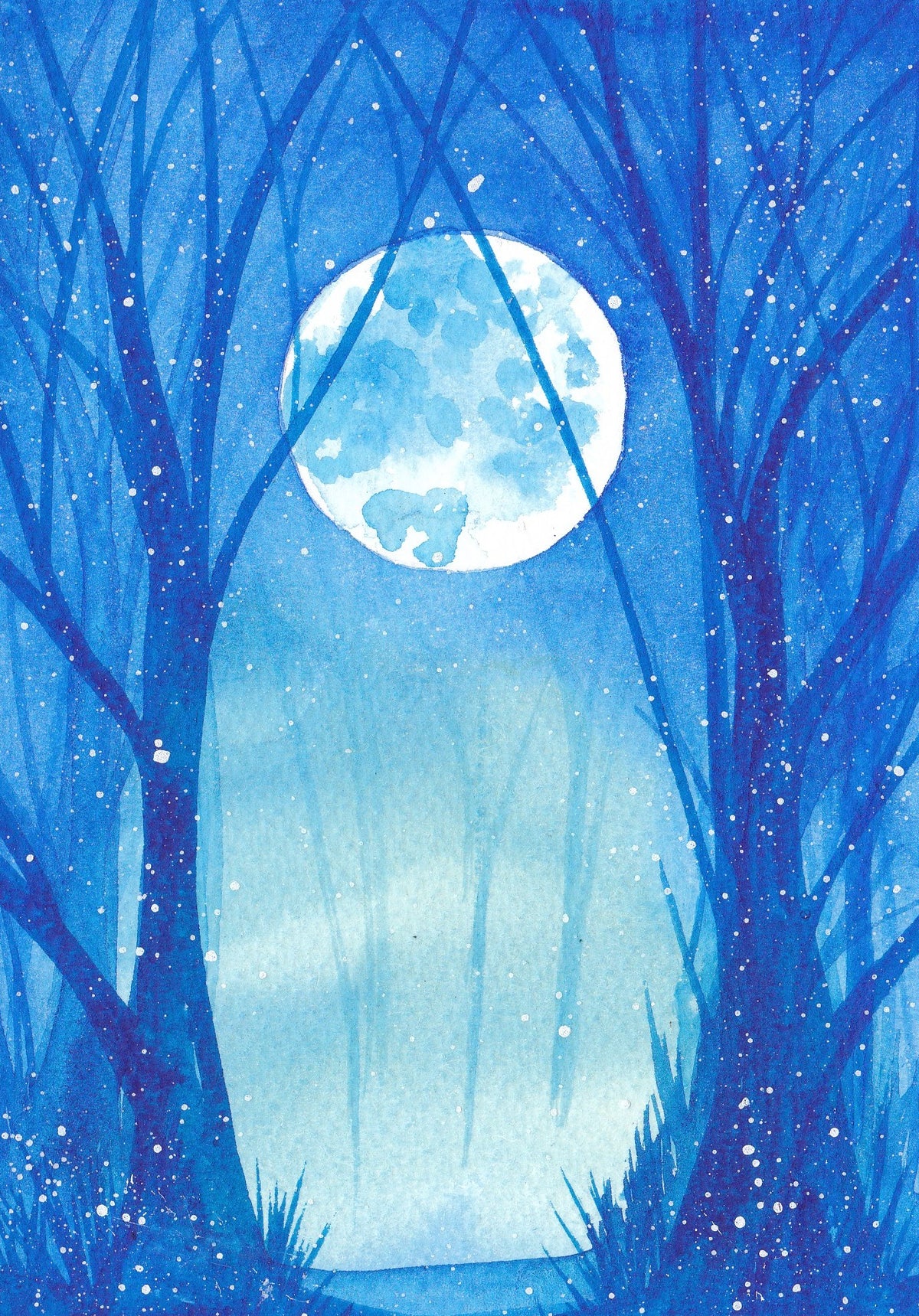 Where the Moonlight Falls