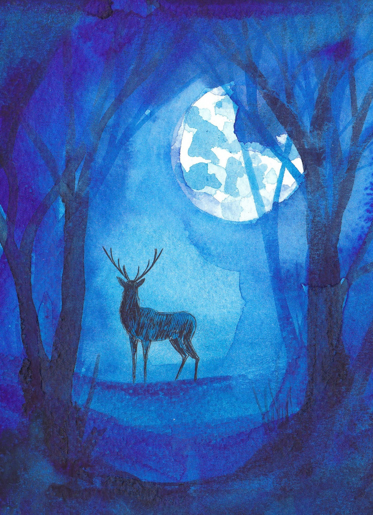 Moonlit Witness