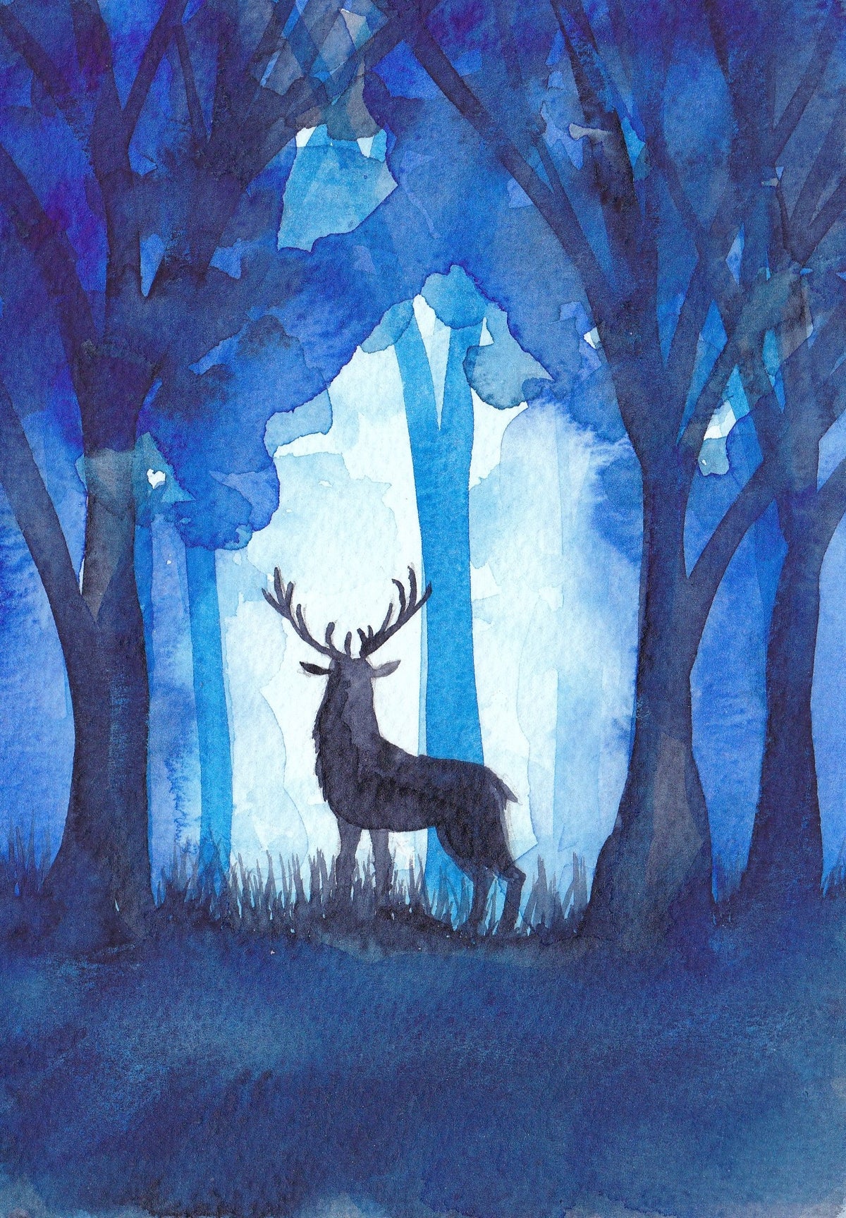 The Quiet Watcher - Fine Art Print
